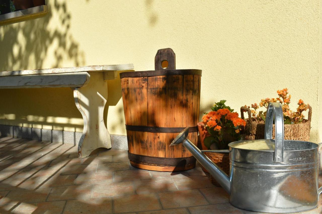 Cividalemia, Casa Cividale Del Friuli